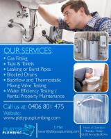 Platypus Plumbing | Plumber Sunshine Coast image 1